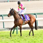 ミスターメロディ〜福永騎手、キングヘイローと不思議な縁のある良血馬~
