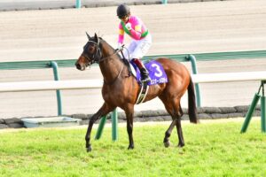 キングヘイロー 競馬場コラボ キングヘイロー (King Halo) | 競走馬データ - netkeiba