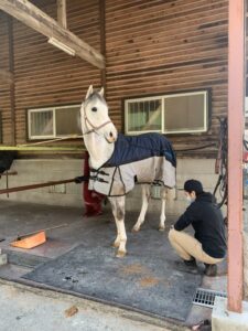 ［引退馬支援］再デビュー馬ナグラーダの、新しい挑戦。
