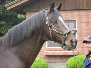 今も多くのファンに愛され続ける奇跡の名馬、トウカイテイオーの物語 | ウマフリ | 競馬コラム＆ニュース