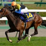 ［ディープインパクト列伝］初めて英雄が飛んだ日～2005年・皐月賞～