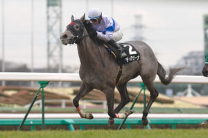 メジロマックイーン降着から18年、娘が制した府中芝2000m～ディアジーナ～