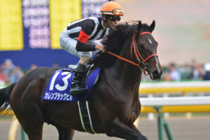 カレンブラックヒル〜不屈の名マイラー〜