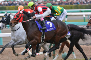 己の運命に打ち勝った名脇役、ウインバリアシオンに喝采を。