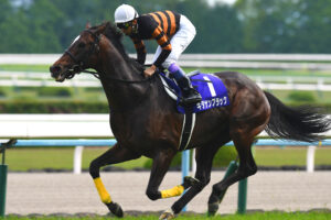 ［天皇賞（春）ヒストリックトリビア］1番人気に求められる”条件”アリ！？ | ウマフリ | 競馬コラム＆ニュース