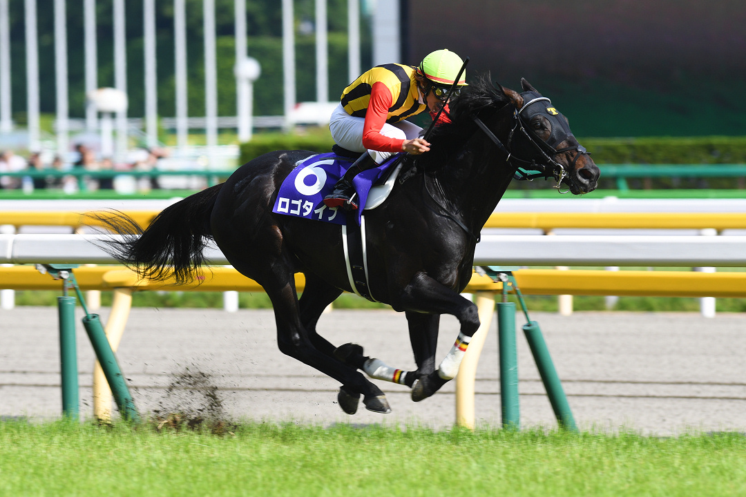 異色の皐月賞馬 ロゴタイプ 栄光と挫折 そして復活した王者 競馬コラム ニュース ウマフリ