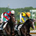 東京競馬場、400m標識でみた夢 - イスラボニータ