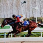 ライスシャワー~その魂は、今も心の中に~