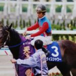 1995年、追憶の宝塚記念。ダンツシアトルとライスシャワー、2頭の名馬