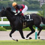 似てる"誰か"を愛せるから。シルバーステートとサングレーザー。