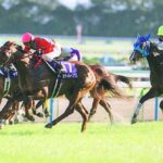 私の"予感"を現実にしてくれた最愛の名馬・スティルインラブ