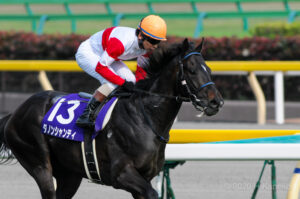 黄金世代のマイル王・ダノンシャンティの豪脚に魅せられて