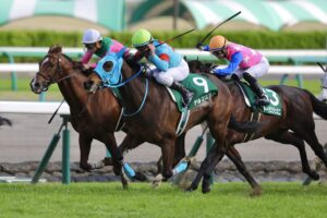 ［重賞回顧］東からもシンデレラ候補が誕生　～2021年・ダービー卿チャレンジトロフィー～