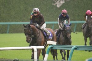 嵐の中を駆け抜けた人気者。道悪巧者・モズベッロの現役時代を振り返る