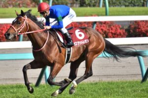 ［重賞回顧］過去の名馬のパフォーマンスに匹敵する圧逃劇～2021年・ニュージーランドトロフィー～