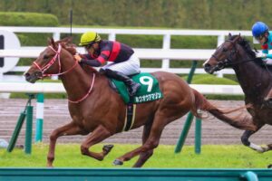 ［重賞回顧］同厩のライバルとトライアル連勝～2021年・アーリントンカップ～