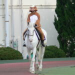 ［写真］園田競馬場のアイドル誘導馬、マコーリー