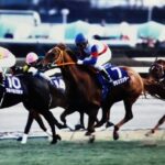 ［特集］どん底から、歓喜の復活へ。骨折を乗り越えた名馬たち。