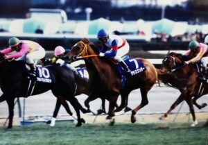 ［特集］どん底から、歓喜の復活へ。骨折を乗り越えた名馬たち。