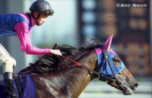 メイショウバトラー〜ファンから愛された"バトラー姐さん"〜