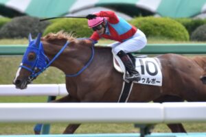 ［石神深一ブログ］中山GJ迫る！オジュウチョウサンとの最終調整に入ります。