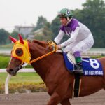 ラブミーチャン〜ダート1000m以下で無敵の、スーパースプリンター〜