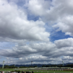 ［天皇賞（春）ヒストリックトリビア］女帝誕生はあるのか？　過去3着以内に食い込んだ5頭の名牝を探る。