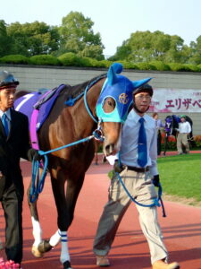 燃えさかれ、この美しき想いよ〜女帝の娘・アドマイヤグルーヴ〜