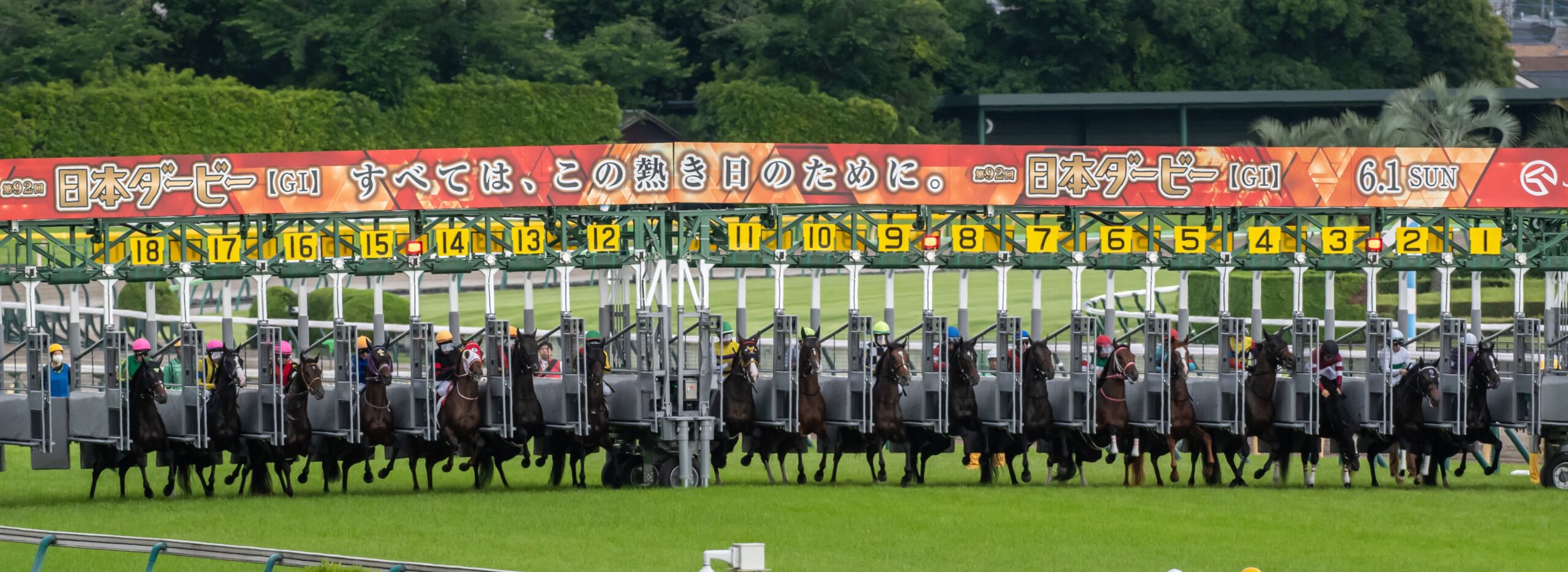 百戦錬磨の競馬ファンが、日本ダービーの「特別」を肌で感じ取った日。