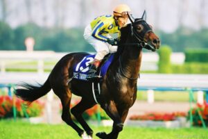 笑顔の行方、明日の行方 - スマイルトゥモロー