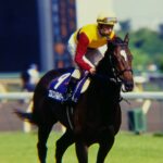 あの日本調教馬の悲願目前に立ち会った、馬主の傍にいる綺麗なオネエサンの話