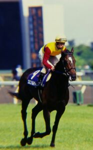 あの日本調教馬の悲願目前に立ち会った、馬主の傍にいる綺麗なオネエサンの話