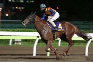 ［地方レース回顧］あなたの夢は、どこから？～2021年・帝王賞～