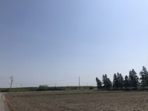 "怪物"を倒した馬と、同じ空を見上げて～1994年京都新聞杯・スターマン〜