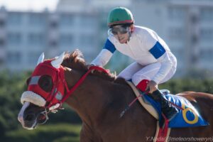 兵庫から全国へ〜挑戦を続けた、二人のトレーナー〜