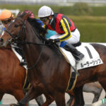 ［角居勝彦ブログ］超良血馬ルーラーシップを振り返る