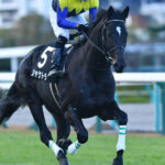 ［角居勝彦ブログ］悲運の名馬シャケトラを振り返る