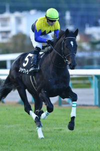 ［角居勝彦ブログ］悲運の名馬シャケトラを振り返る