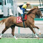 ［角居勝彦ブログ］未完の大器ブルーイレヴンを振り返る