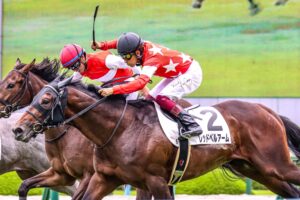 ［新馬戦回顧録］明日のエースは誰だ！？　2021/6/27