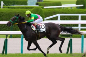 ［新馬戦回顧録］明日のエースは誰だ！？　2021/6/26