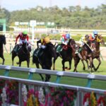 ［今週の競馬］盛り上がる夏競馬！札幌では牝馬重賞、新潟では名物の直線重賞が開催！