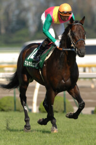 サンデー最後の大物と言われた天才・マルカシェンク。幾度とない試練を乗り越えた、現役最後の勝利を振り返る。