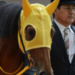 ［Rewind the race］琴乃音色～2014年・札幌記念～