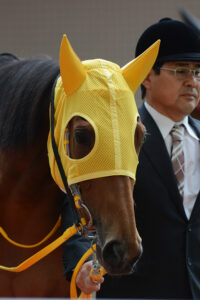 ［Rewind the race］琴乃音色～2014年・札幌記念～