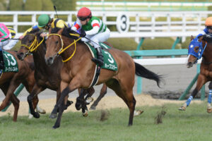 First Love~2013年新潟2歳ステークス・ハープスター~