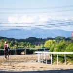 飛躍・安定・復活、それぞれが掴んだ栄光　～2010年・サマーチャンピオン～