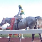 ［毎日王冠］あの日見た、白い稲妻 - シービークロス・1979年毎日王冠