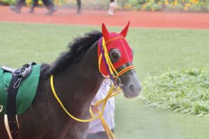 ［重賞回顧］積極果敢なレース選択が奏功し、苦労人が重賞初制覇～2021年・小倉記念～