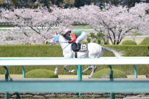 「もう2度とひっくり返らないぞ、ジョッキーを落とさないぞ」。悲運の名馬・シゲルスダチの生涯を振り返る。